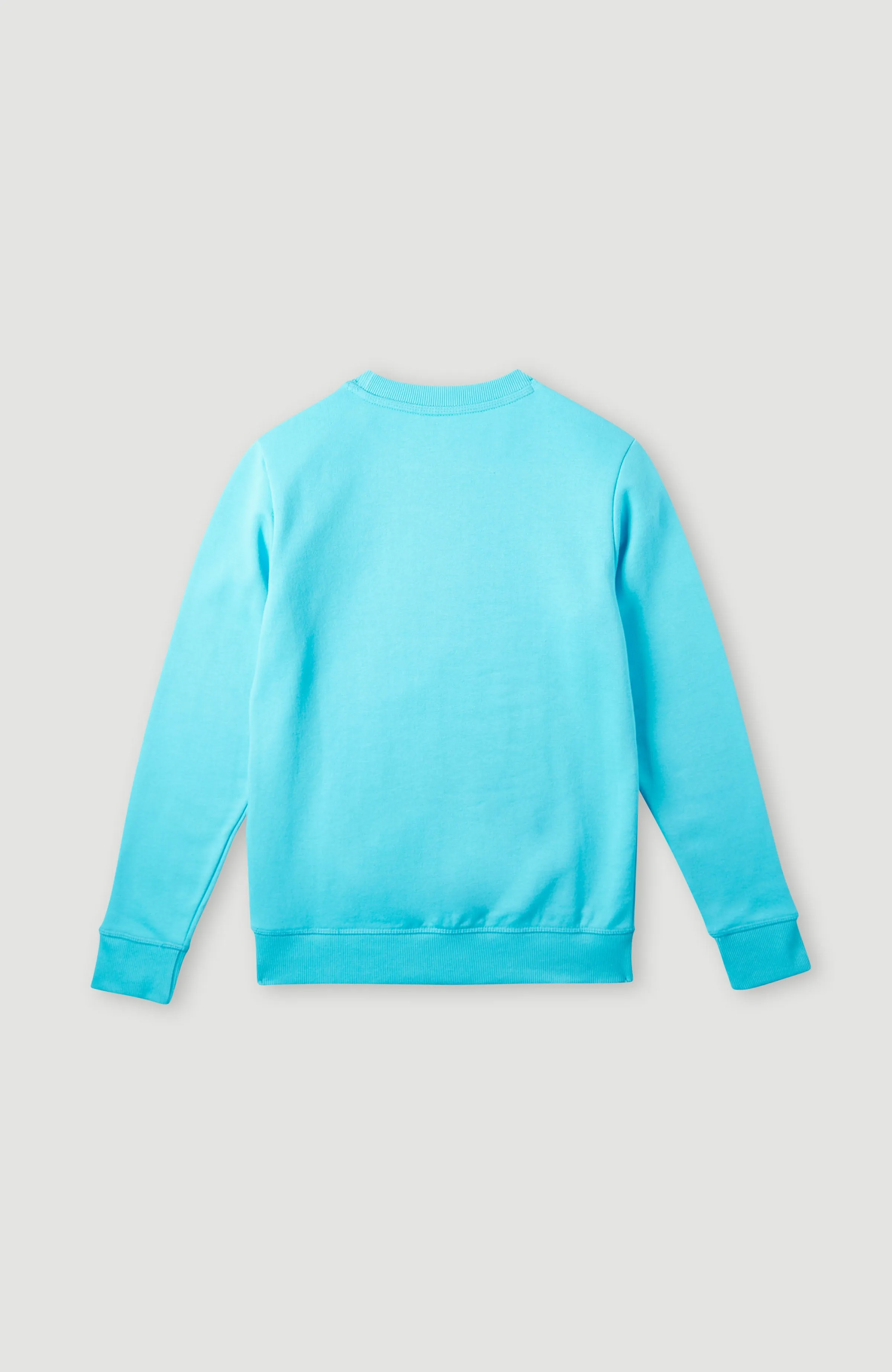 Circle Surfer Crew Sweatshirt | Bachelor Button