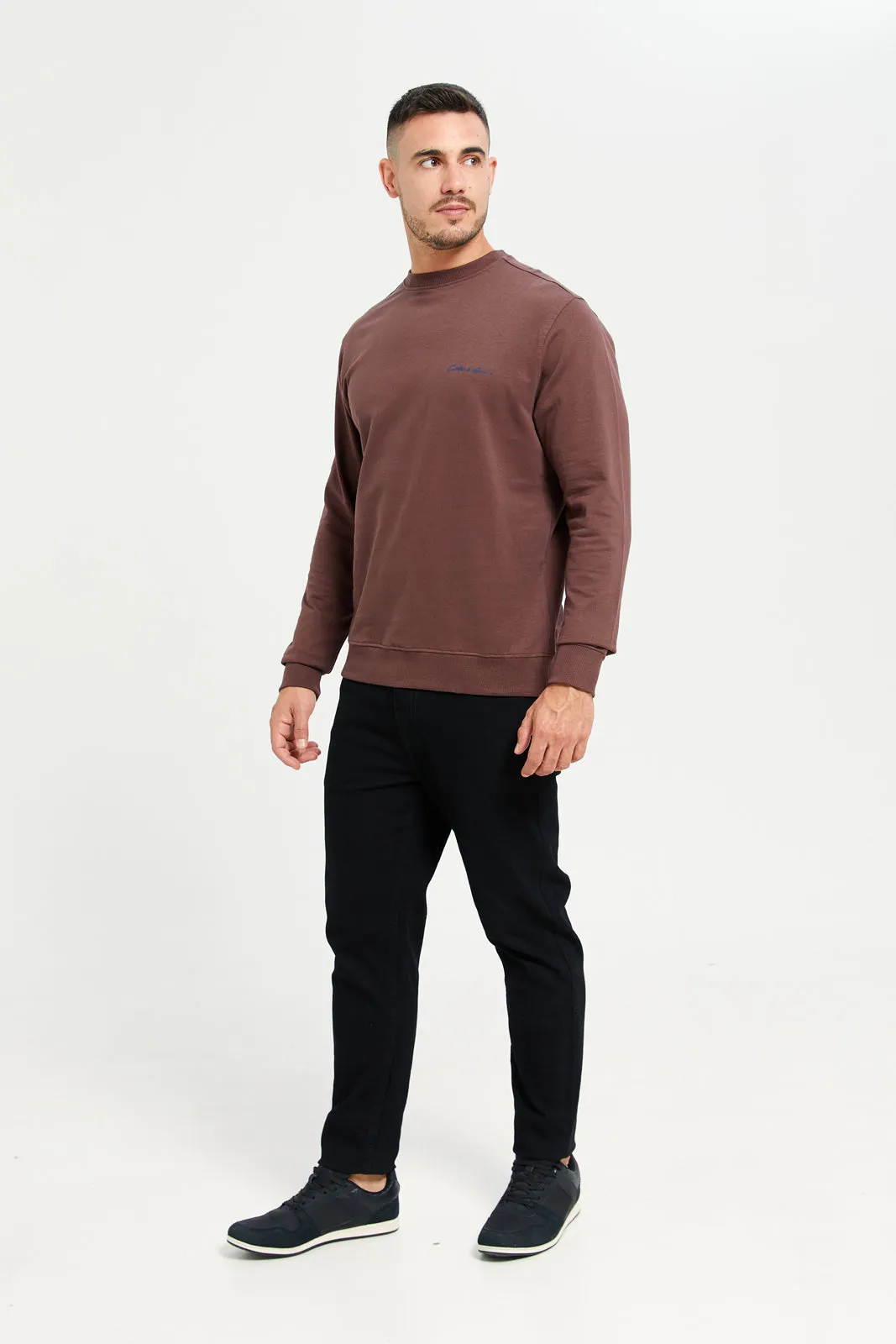 Men Brown Crew Neck Sweatshirt