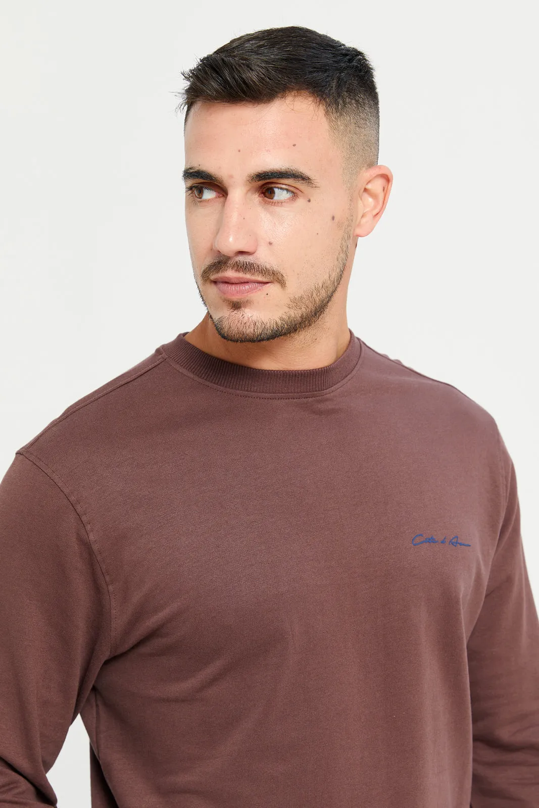 Men Brown Crew Neck Sweatshirt